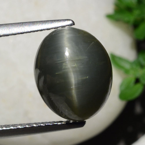 Cuarzo Ojo de Gato Gris acero natural de 5.40 ct, Corte Óvalo, Opaco