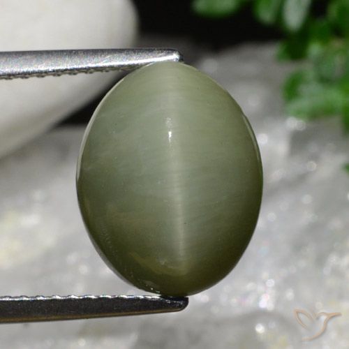 6.34ct Natural Verde militar Cuarzo Ojo de Gato, Ovalada, Opaco