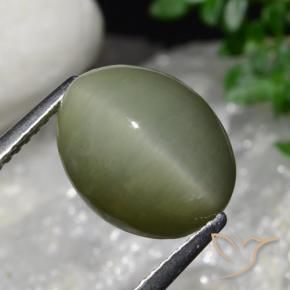 Cuarzo Ojo de Gato Verde militar natural de 6.34 ct, Ovalada, Opaco