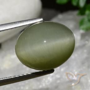 Cuarzo Ojo de Gato Verde militar natural de 6.34 ct, Ovalada, Opaco