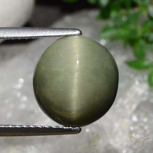 5.58ct Natural Verde militar Cuarzo Ojo de Gato, Ovalada, Opaco