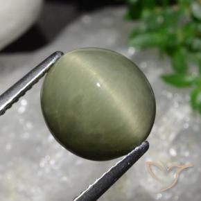 Cuarzo Ojo de Gato Verde militar natural de 5.58 ct, Ovalada, Opaco