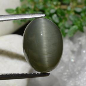 Cuarzo Ojo de Gato Verde terroso natural de 6.97 ct, Corte Óvalo, Opaco