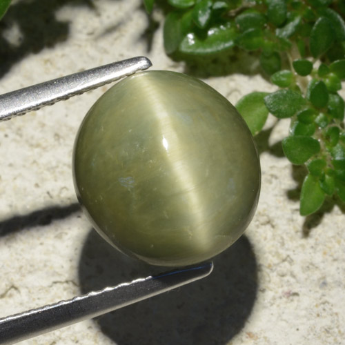 Cuarzo Ojo de Gato Verde cálido natural de 6.19 ct, Corte Óvalo, Opaco