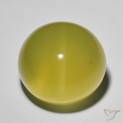 20.24ct Natural Amarillo abejorro Cuarzo Ojo de Gato, Ovalada, Translúcido