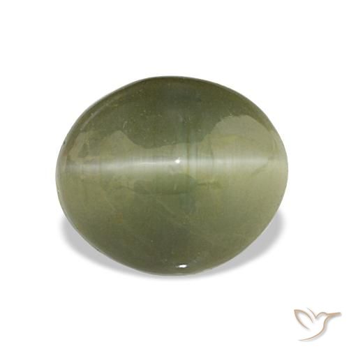 6.98ct Verde amarillento Cuarzo Ojo de Gato, Ovalada, Opaco