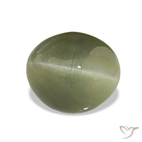 Cuarzo Ojo de Gato Verde amarillento natural de 6.98 ct, Corte Óvalo, Opaco