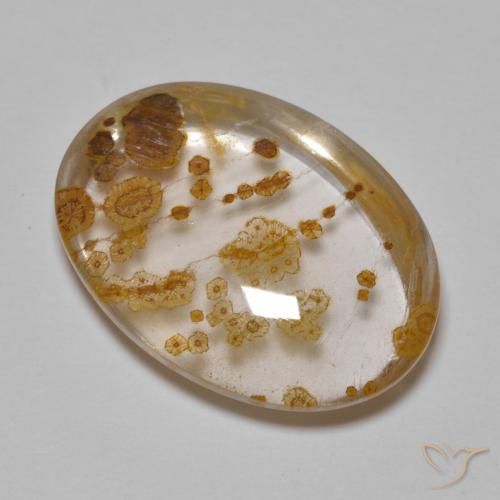 23.29ct Natural Multicolor Cuarzo con marcasita, Ovalada, Transparente