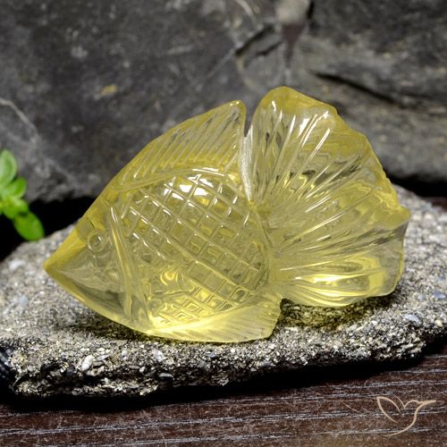 Cuarzo amarillo natural de 60,55 ct, forma elegante, transparente