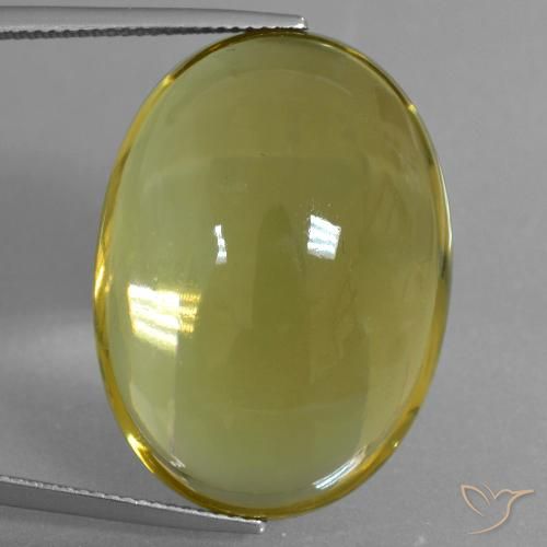 46.61ct Natural Amarillo abejorro Cuarzo, Ovalada, Transparente
