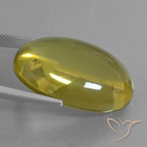 Cuarzo Amarillo abejorro natural de 46.61 ct, Ovalada, Transparente