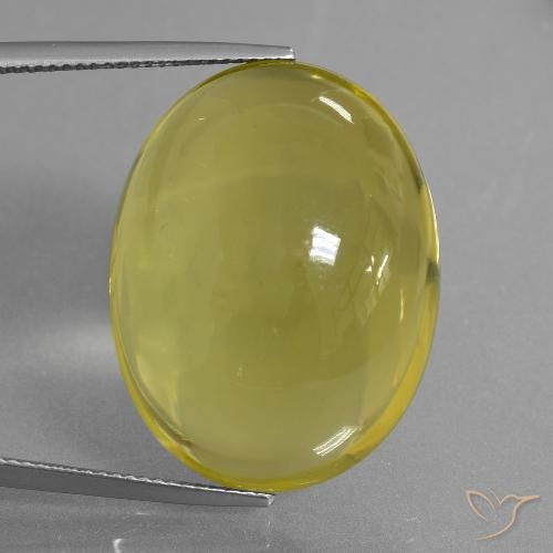 44.59ct Natural Amarillo abejorro Cuarzo, Ovalada, Transparente