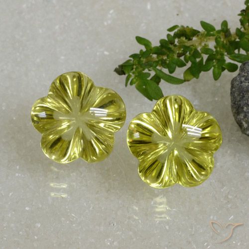 18.82ctw Natural Amarillo medio Cuarzo, Corte Flor, Transparente
