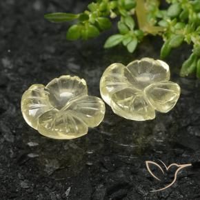 Gemas de Cuarzo Amarillo verdoso natural de 4.68 ct, Corte Flor, Transparente