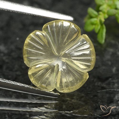 4.12ct Natural Amarillo medio Cuarzo, Corte Flor, Transparente, Photo A