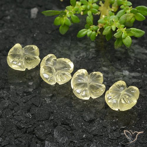 5.12ctw Natural Amarillo crema pálido Cuarzo, Corte Flor, Transparente