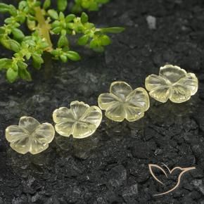 Gemas de Cuarzo Amarillo medio natural de 4.51 ct, Corte Flor, Transparente