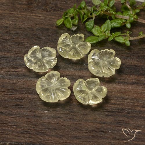 5.70ctw Natural Amarillo crema pálido Cuarzo, Corte Flor, Transparente