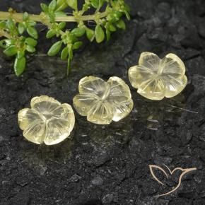 Gemas de Cuarzo Amarillo verdoso natural de 7.35 ct, Corte Flor, Transparente