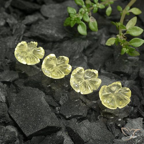 5.93ctw Natural Amarillo piña claro Cuarzo, Corte Flor, Transparente