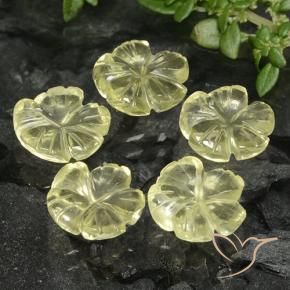 Gemas de Cuarzo Amarillo claro natural de 6.89 ct, Corte Flor, Transparente