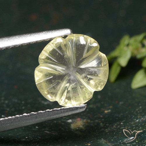 1.55ct Natural Amarillo medio Cuarzo, Corte Flor, Transparente, Photo A
