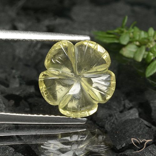 3.38ct Natural Amarillo medio Cuarzo, Corte Flor, Transparente