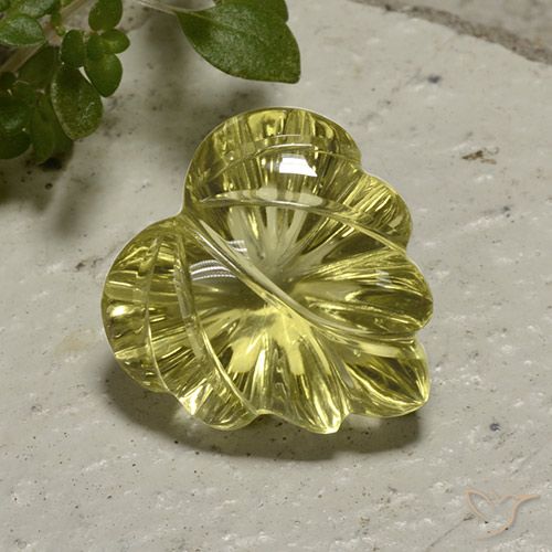 12.42ct Natural Amarillo medio Cuarzo, Corte Flor, Transparente