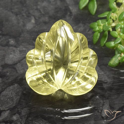 9.79ct Natural Amarillo medio Cuarzo, Corte Flor, Transparente