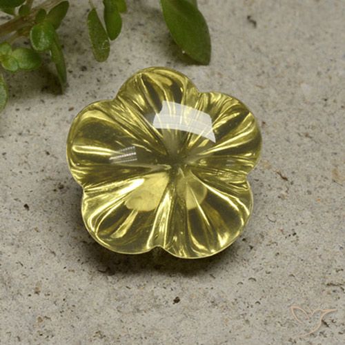 10.17ct Natural Amarillo pálido Cuarzo, Corte Flor, Transparente