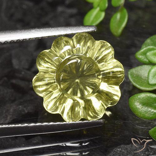 7.20ct Natural Amarillo medio Cuarzo, Corte Flor, Transparente