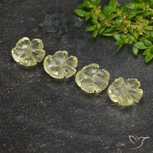 5.16ctw Natural Amarillo verdoso claro Cuarzo, Corte Flor, Transparente