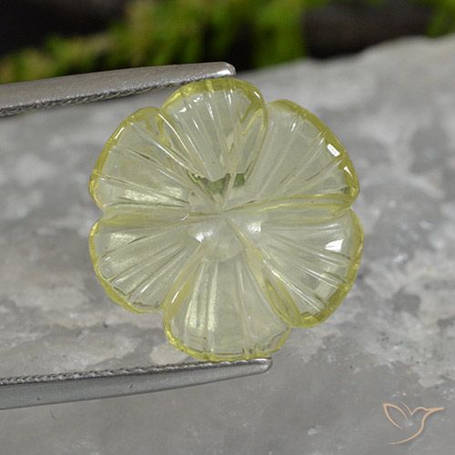 5.62ct Natural Amarillo piña claro Cuarzo, Corte Flor, Transparente