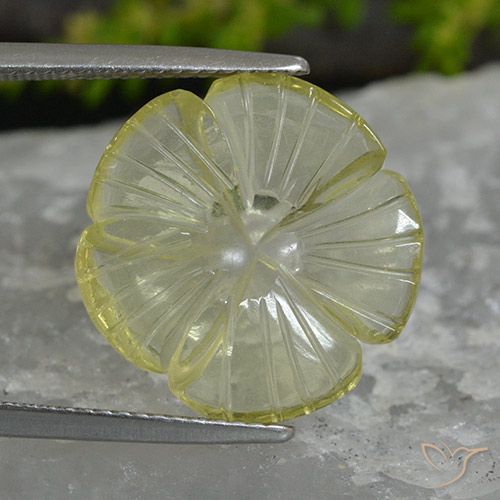 7.41ct Natural Amarillo limón Cuarzo, Corte Flor, Transparente