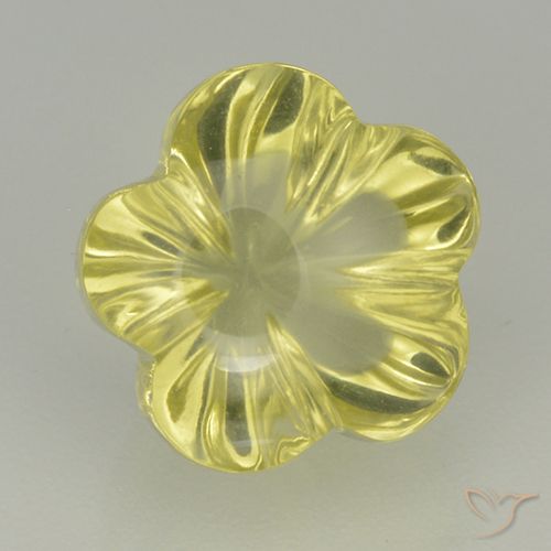 5.05ct Natural Amarillo medio Cuarzo, Corte Flor, Transparente