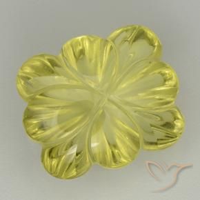 Cuarzo Amarillo abejorro natural de 8.98 ct, Corte Flor, Transparente