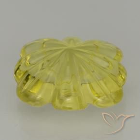 Cuarzo Amarillo abejorro natural de 8.98 ct, Corte Flor, Transparente