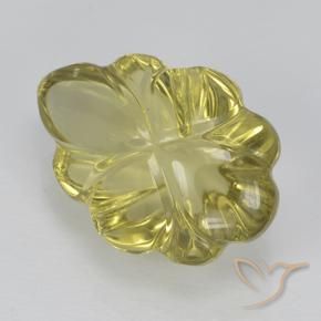 Cuarzo Amarillo-dorado claro natural de 5.50 ct, Corte Flor, Transparente