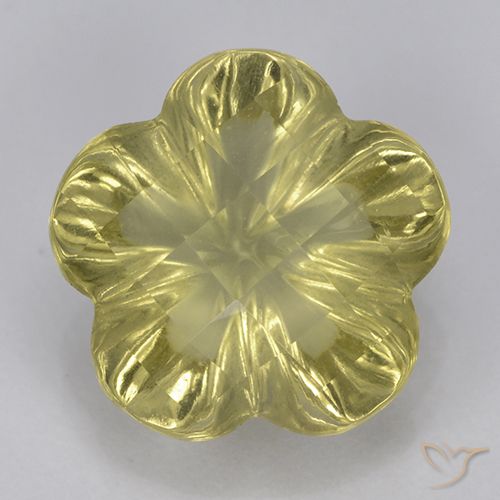 3.23ct Natural Amarillo claro Cuarzo, Corte Flor, Transparente