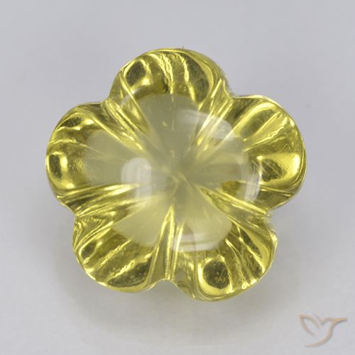 3.64ct Natural Amarillo claro Cuarzo, Corte Flor, Transparente