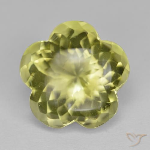 11.33ct Natural Amarillo medio Cuarzo, Corte Flor, Transparente