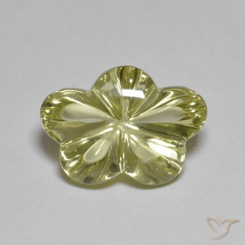 6.22ct Natural Amarillo medio Cuarzo, Corte Flor, Transparente