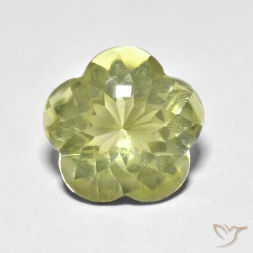 4.69ct Natural Amarillo medio Cuarzo, Corte Flor, Transparente, Photo A