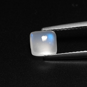Piedra de luna arcoíris blanco natural de 1,08 ct, transparente, transparente / translúcido