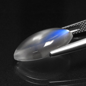 Piedra lunar arcoíris Blanco azul natural de 6.99 ct, Transparente, Transparente / Translúcido