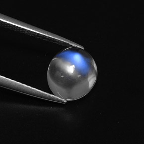 Piedra de luna arcoíris blanco natural de 2,42 ct, corte óvalo, transparente
