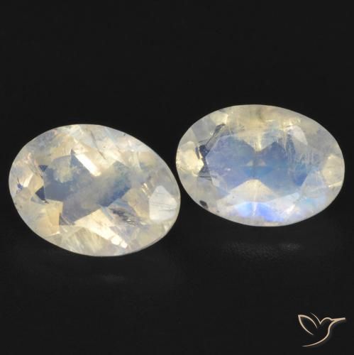 Gemas de Piedra lunar arcoíris Blanco azulado natural de 1.45 ct, Ovalada, Transparente