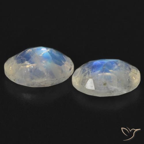 Gemas de Piedra lunar arcoíris Blanco azulado natural de 1.45 ct, Ovalada, Transparente