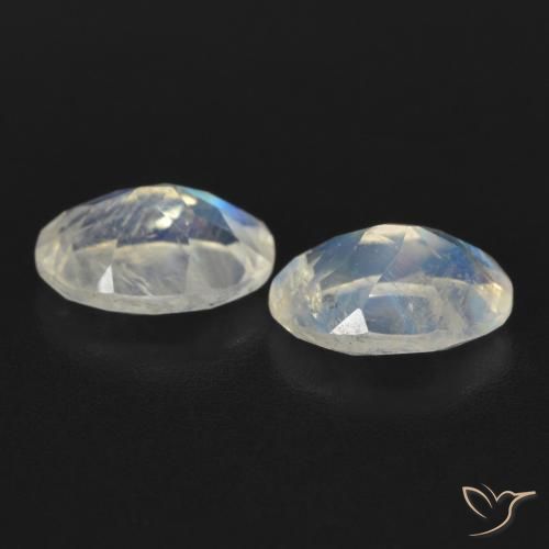 Gemas de Piedra lunar arcoíris Blanco azulado natural de 1.56 ct, Ovalada, Transparente