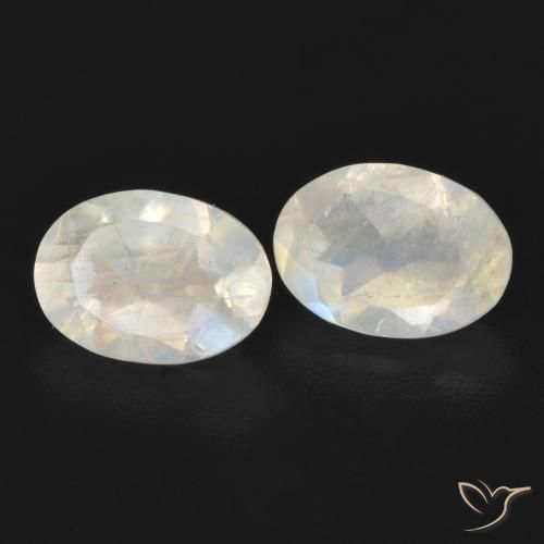 Gemas de Piedra lunar arcoíris Blanco azulado natural de 1.55 ct, Ovalada, Transparente